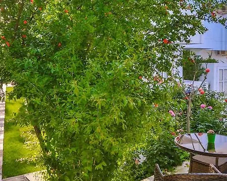 Ilica Hotel Çeşme
